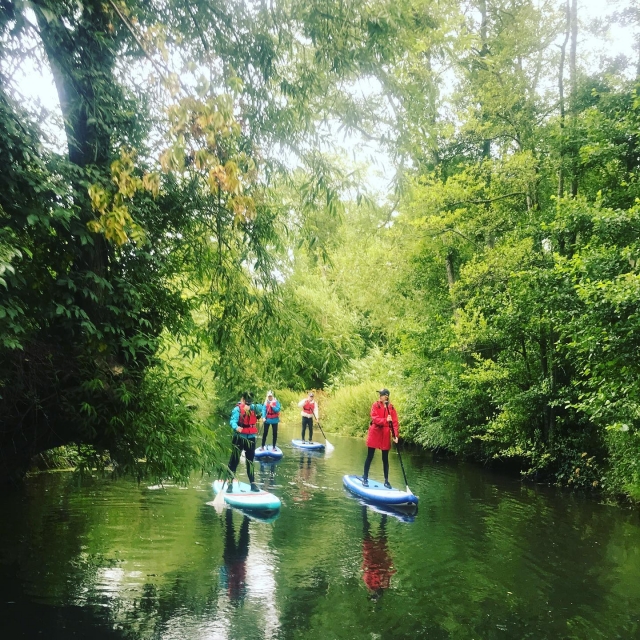 Sesión de prueba de SUP de 1,5 horas para adultos (mayores de 18 años) en Wargrave