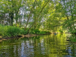 Ruta en kayak por el río Stour duranle 2 horas