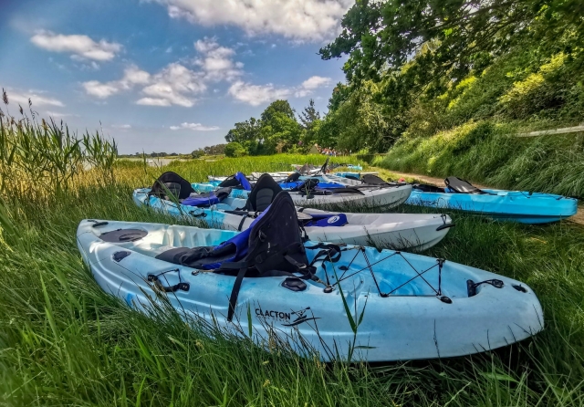  Renta de kayaks 