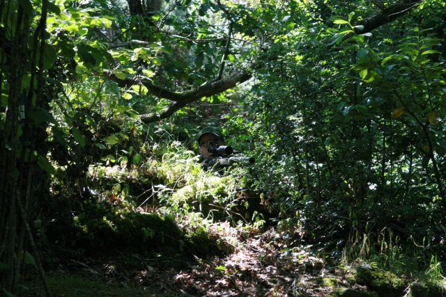 Sesiones de Airsoft 