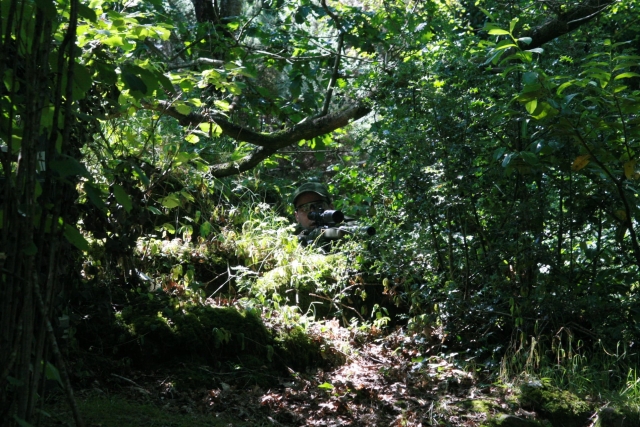  Tramarrando de esconderse 