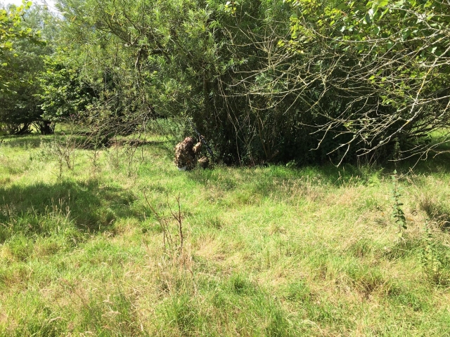  Airsoft le desafiará 