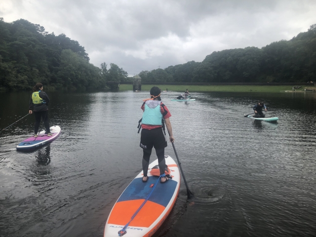 Puede venir con tus amigos