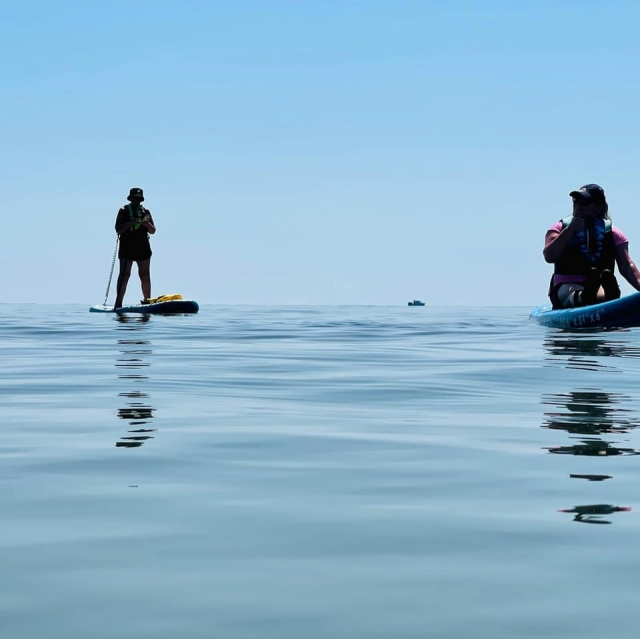  Venga a remar con nosotros 