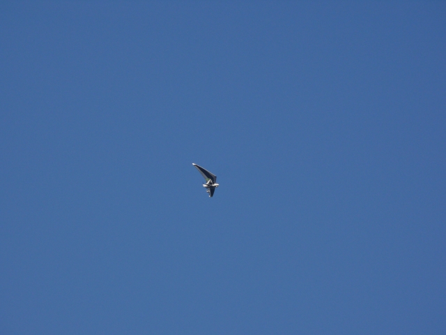Pruebas en ultraligero en Caernarfon
