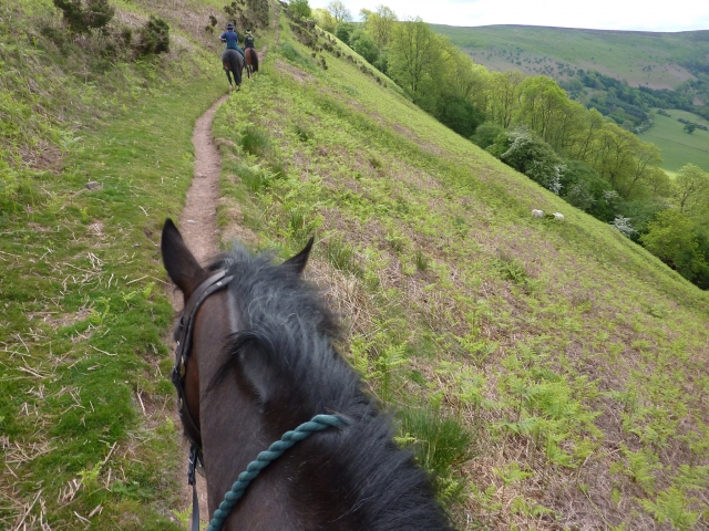 Disfruta de su experiencia única