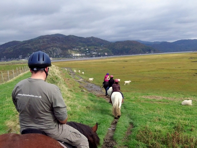 sube a caballo con nosotros