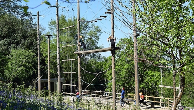 Muchos desafíos de cuerdas altas