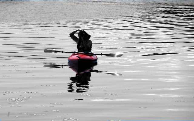 Renta de kayak en The River Hamble 