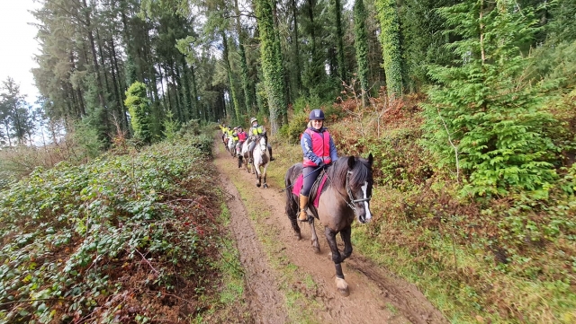  Subir a caballo para jinetes intermedios