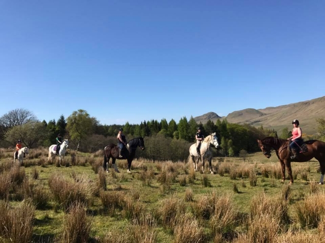 Disfruta rodeado de tus ses queridos