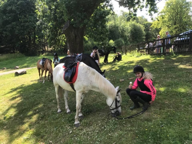 Disfruta de un hermoso paseo