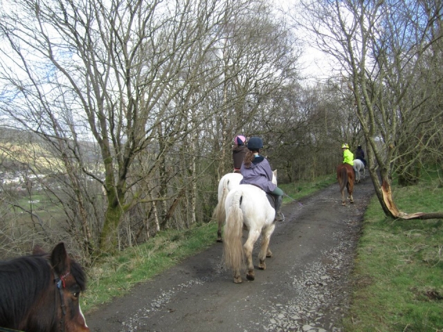 Explora Glasgow a caballo