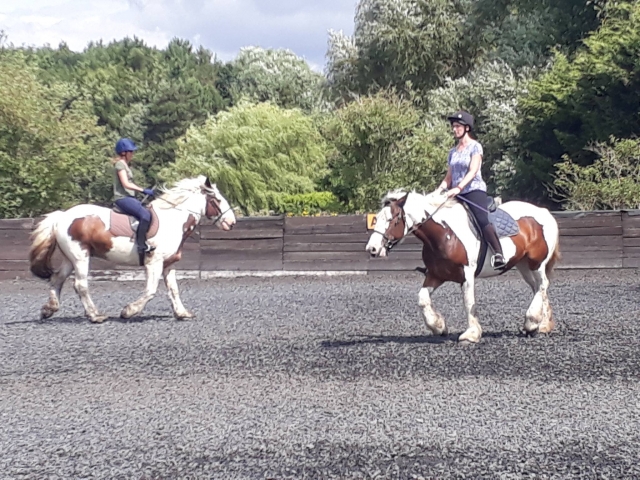  Pbaños a caballo para principiantes 