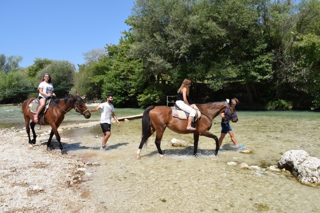  Sesiones de Pbaños a Caballo 