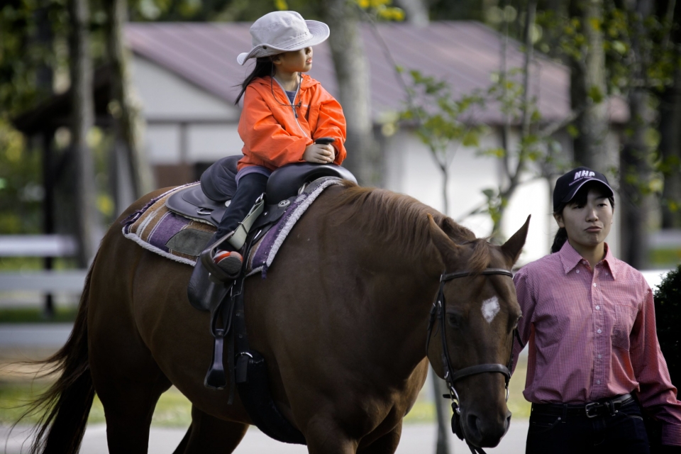 Salidas a caballo para niños Salidas a caballo para niños