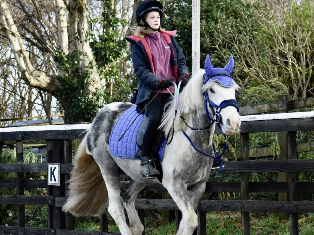 Centro ecuestre en Buckley