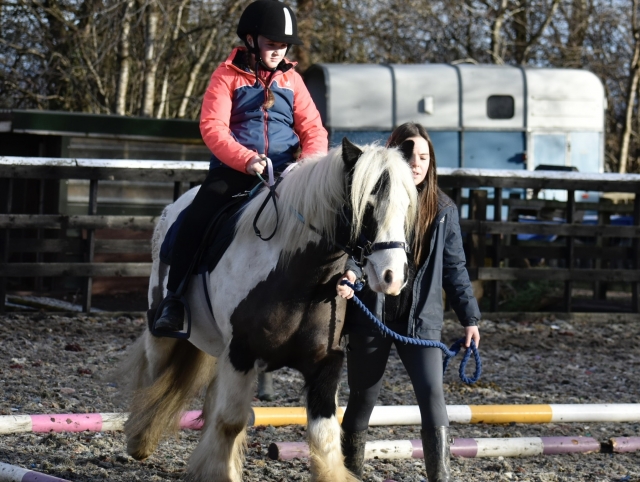 Lecciones en Flintshire