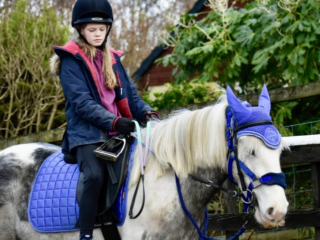 Caballos para cada jinele