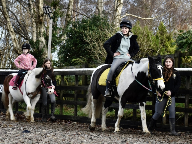 Aprende a subir a caballo