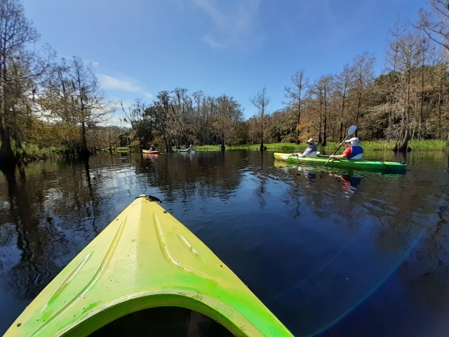 Teniendo una gran vista