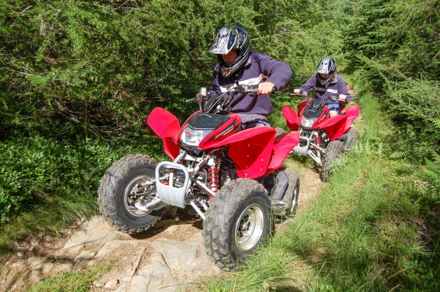  Obtenga su dosis de adrenalina
