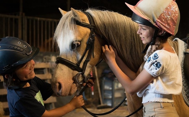  Nuestros caballos son amigables 