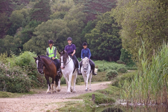  Sesiones de equitación
