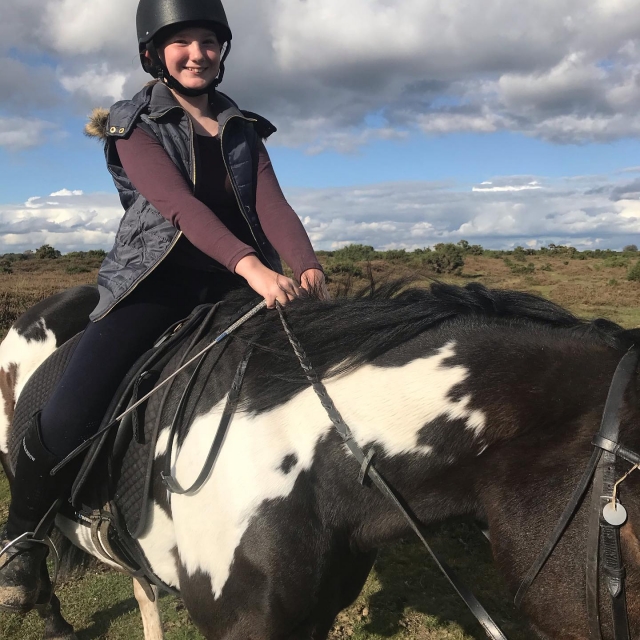 Explorando New Forest 