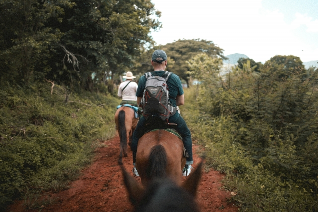  Hack en grupo en la naturaleza 
