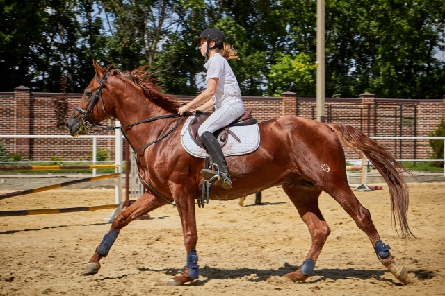  Preparar el caballo para salir 