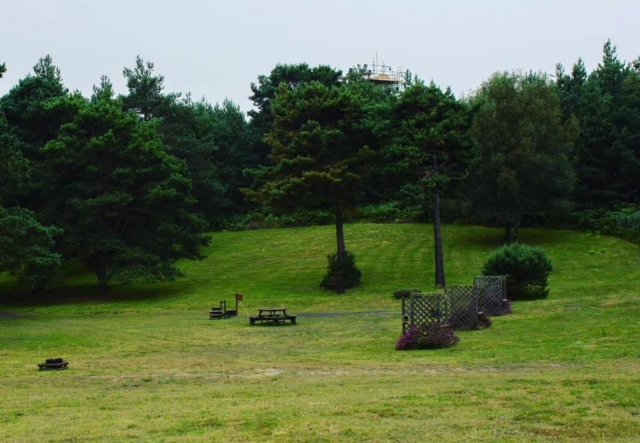  Campos de jalo increíbles 