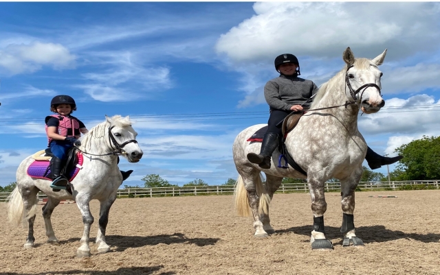  Disfruta de un paseo a caballo como nunca antes lo habías hecho 