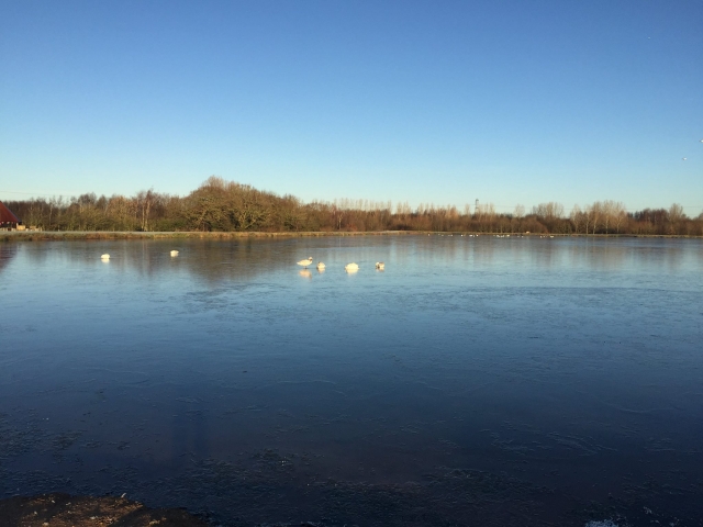Disfrule de nuestro lago 