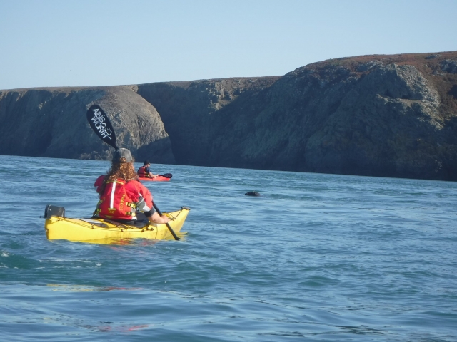 ¡Grupo de personas haciendo kayak! 