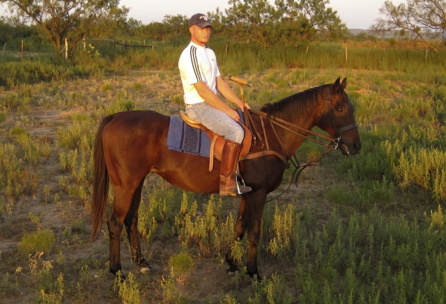  Hombre disfrutando de su tiempo con nuestros caballos 