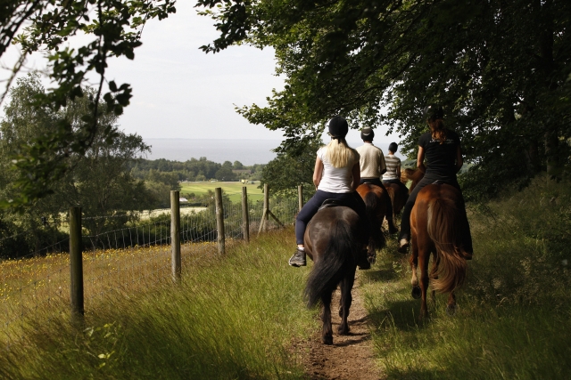  Subiendo a caballo en familia con nosotros