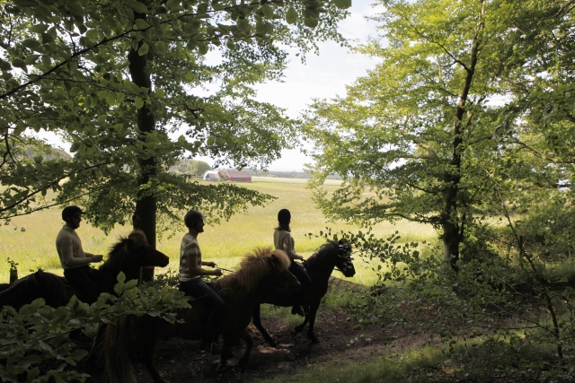 Grupo de amigos subiendo a caballo 