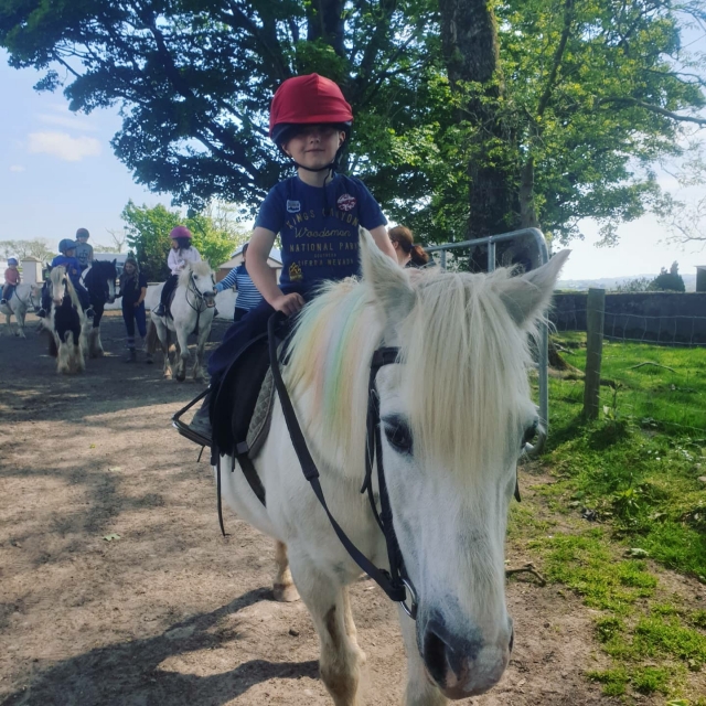  Aventuras a caballo para niños 