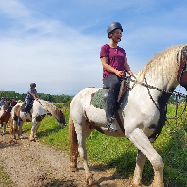  Pasa un día encantador con nuestros caballos 