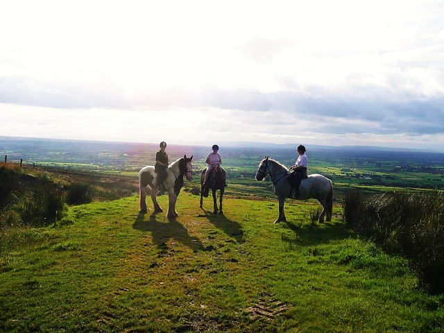 Sesiones de Paseo a Caballo para principiantes 