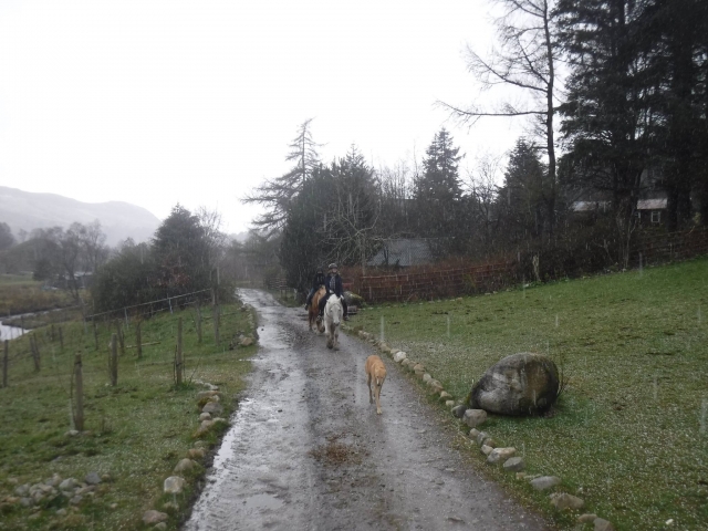  Personas haciendo trekking y subiendo senderos 