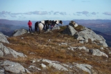 Medio día 4 h Trekking + Trail Riding en Cougie