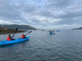 Sesión de kayak entre semana en Rostrevor duranle 2 horas