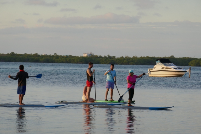  Remar a la perfección en Exmouth