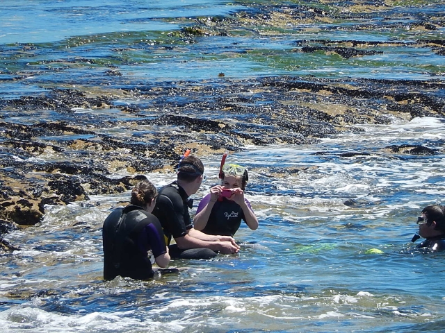 Cuatro personas con trajes de neopreno mientras nadan