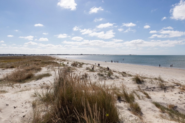 Sussex es un lugar hermoso 