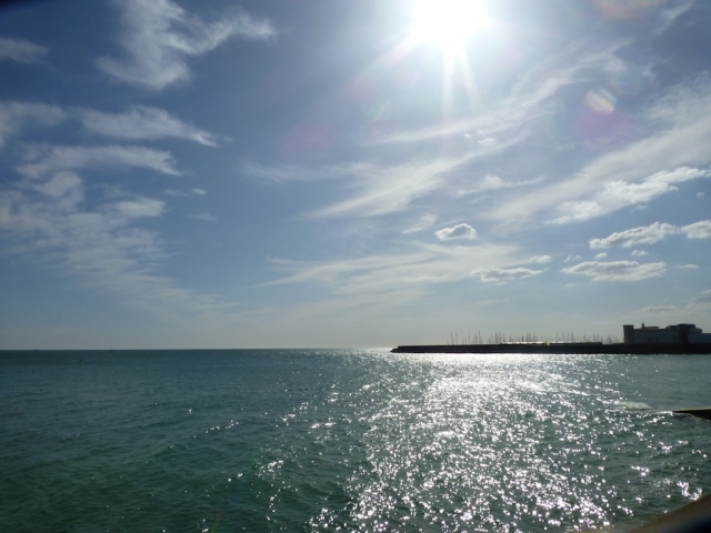  Preciosas vistas en Brighton