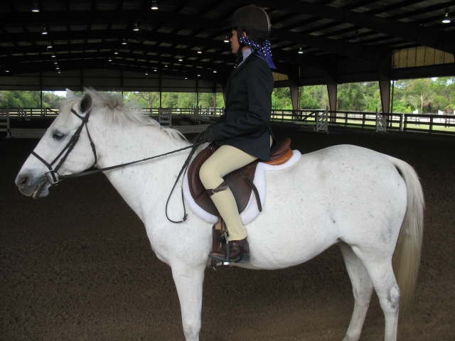 Niña con chamarra azul sobre un caballo blanco 
