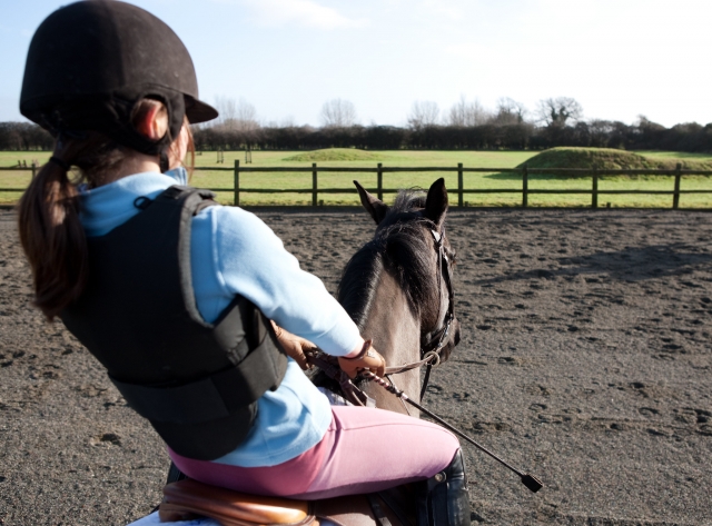 Sesión de Horse Hacking en Bockleton duranle 2 horas